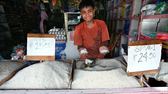 P20 per kilo rice becomes a reality • The Market Monitor