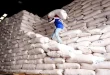 Phl to still depend on rice imports
