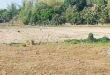 DoST says 49 provinces to be hit by “very strong” El Nino