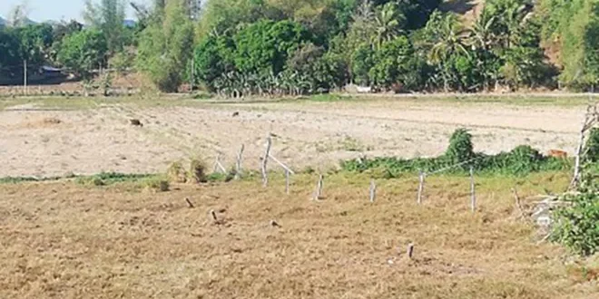 DoST says 49 provinces to be hit by “very strong” El Nino
