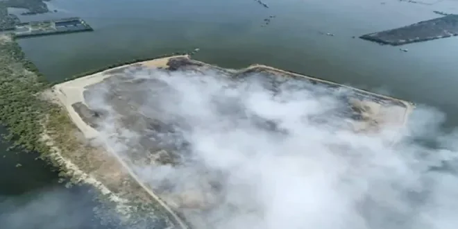 Oceana urges fish, water quality test at Navotas landfill
