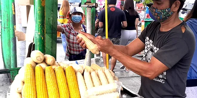 Govt revisits studies on corn as bioethanol fuel