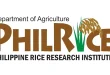 DA must be free to pick which rice seeds to push for planting
