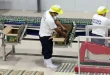 Jobs, factory output post marked gains
