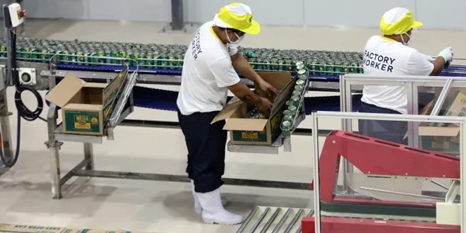 Jobs, factory output post marked gains