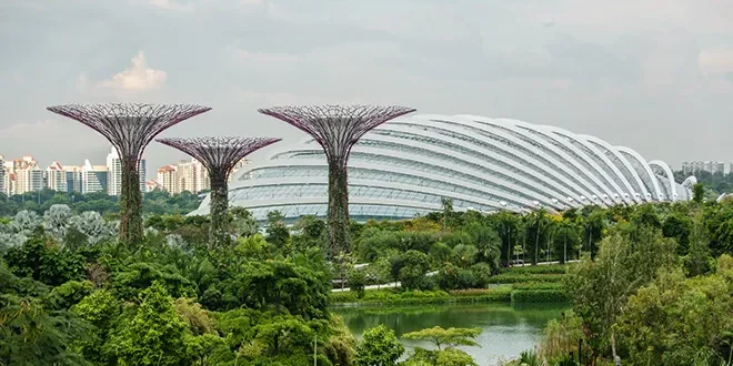 How Singapore is able to cool its roads