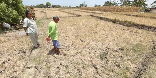Preparing to cope with El Nino