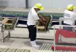 PHL manufacturing in the doldrums