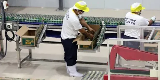 PHL manufacturing in the doldrums